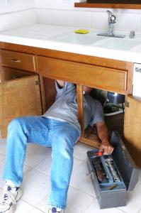 Grapevine garbage disposal repair professional at work